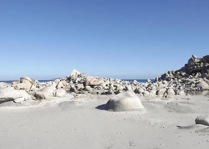 Claudio E Lunetta * 维拉西米乌斯