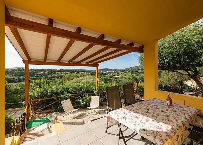 Claudio E Lunetta * 维拉西米乌斯